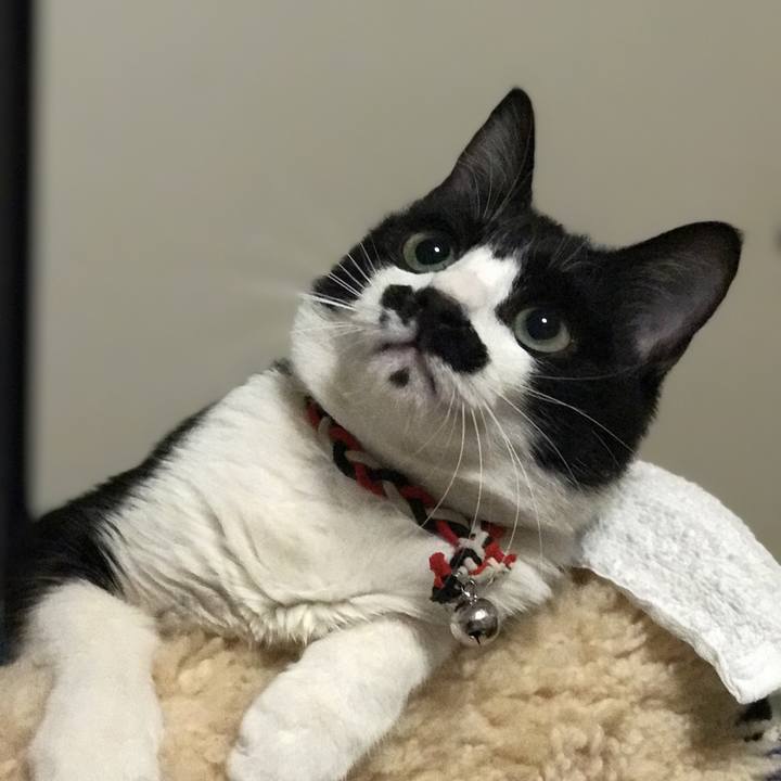 Fd1bd117 2e48 4995 9054 c222a80e9ab8