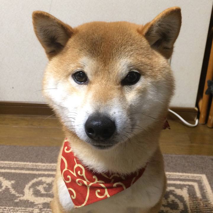 Fd1bf59f 477e 4e57 bd3c 2d95b79ab0e7