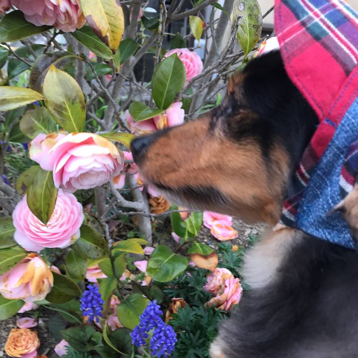 Fd1c76f3 8896 411d 8e6d cfa732131f52