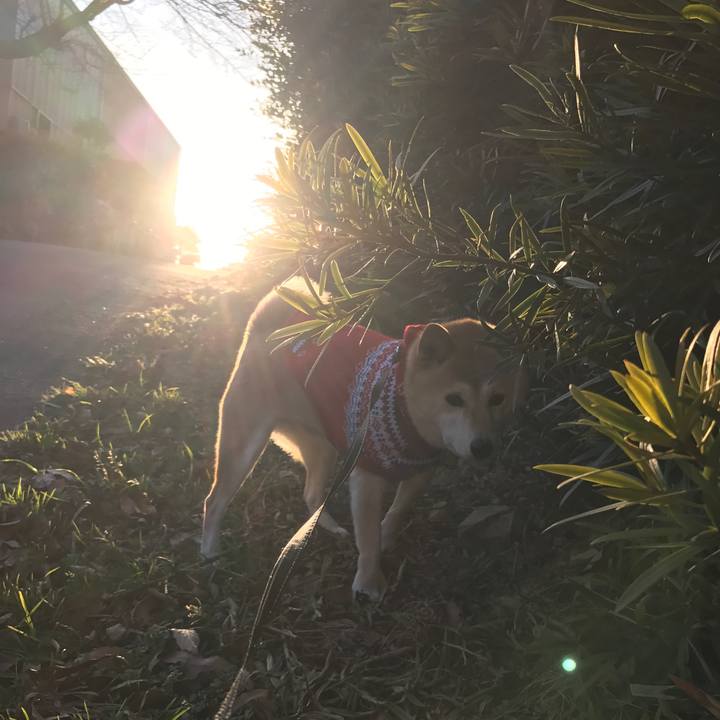 Fd1c8d6e 5269 4c06 8fd2 9ad9f6822f67