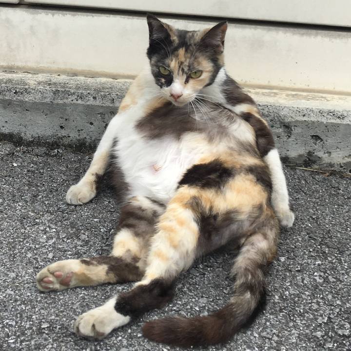 Fd1c947b e05e 4b5e 8f61 836a06828ea9