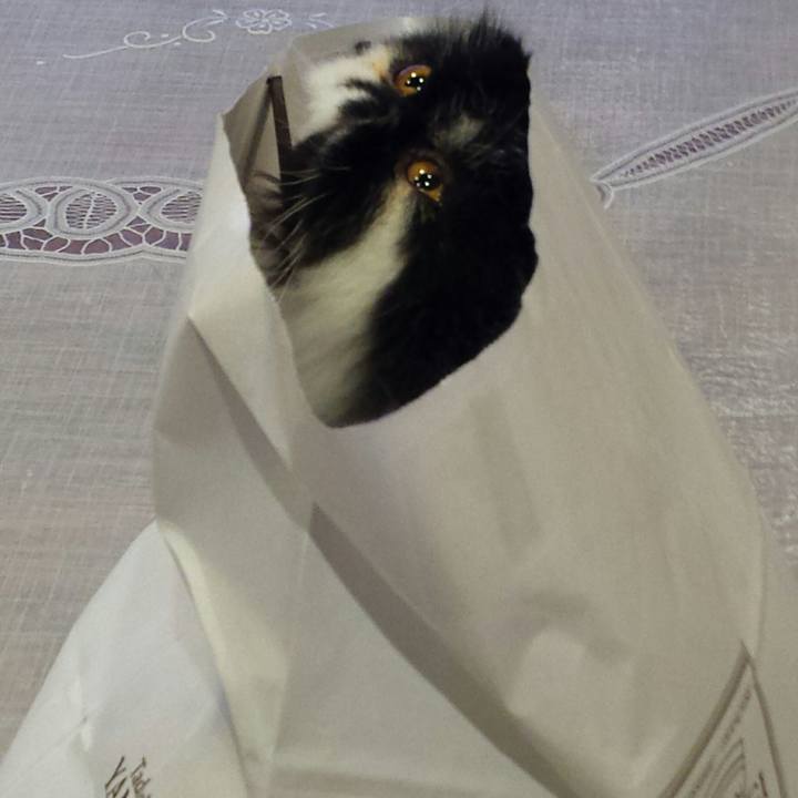 Fd1cded4 d687 4209 8fd5 8c8e059c2da6