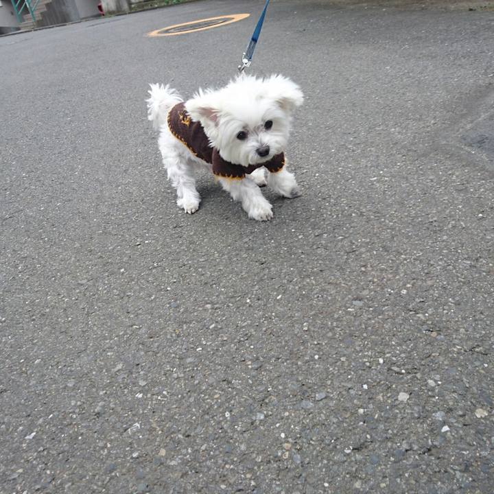 Fd1cfd77 8552 4e53 b4af e7e35987c3e7