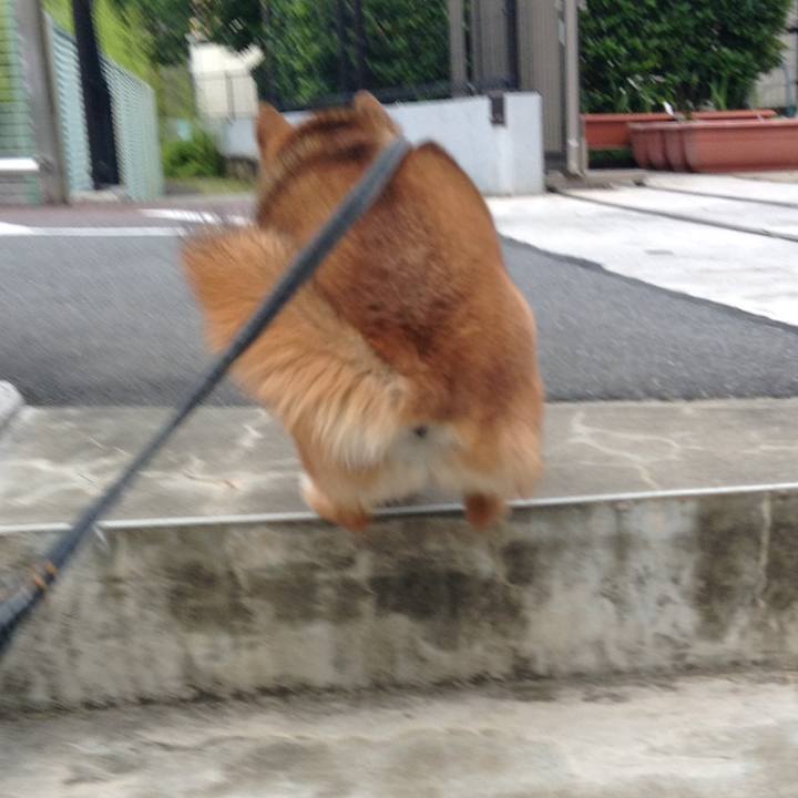 Fd1d3702 d918 4d29 8a59 e7eb7958c9dd