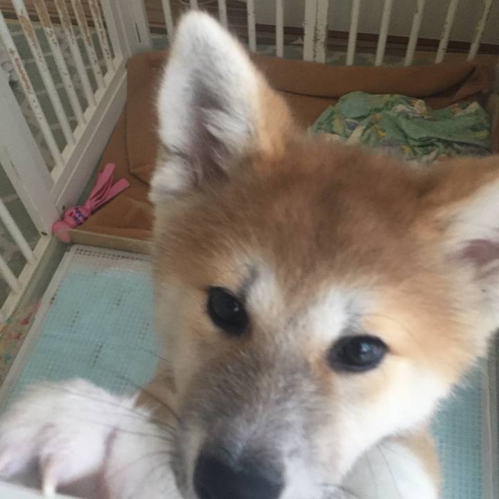 Fd1d9831 e426 4513 be80 0a3ca03f7b0b