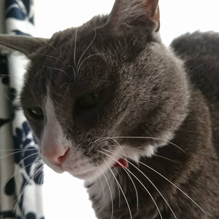 Fd1e0586 5ec4 48ef 961b c0daf411dae5