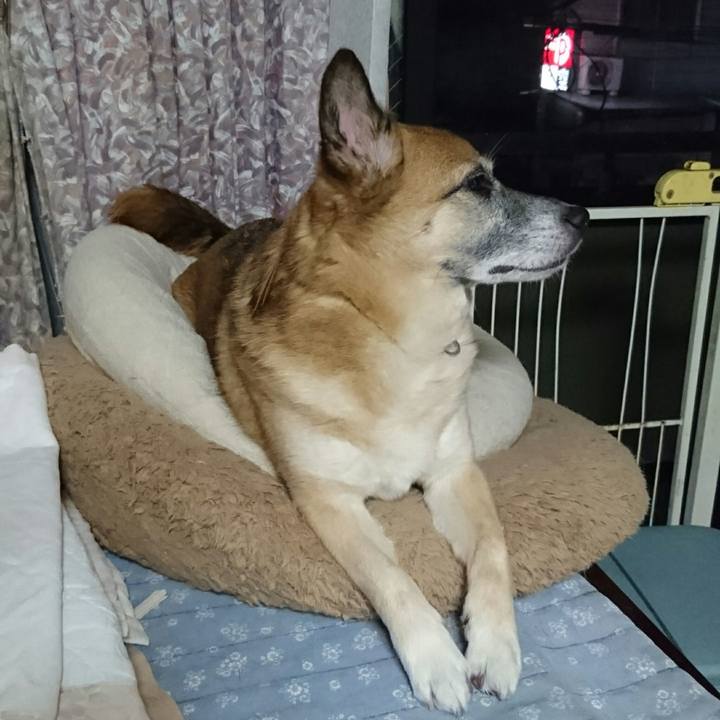 Fd1e3279 f17f 4e95 935e 7600b8e1f512