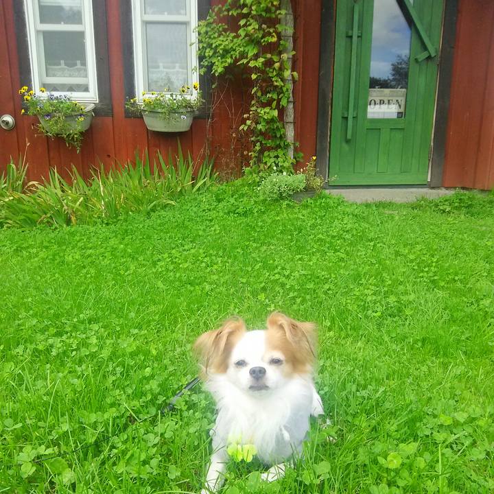 Fd1e4bf6 6e88 45d1 811f 813f5c648129