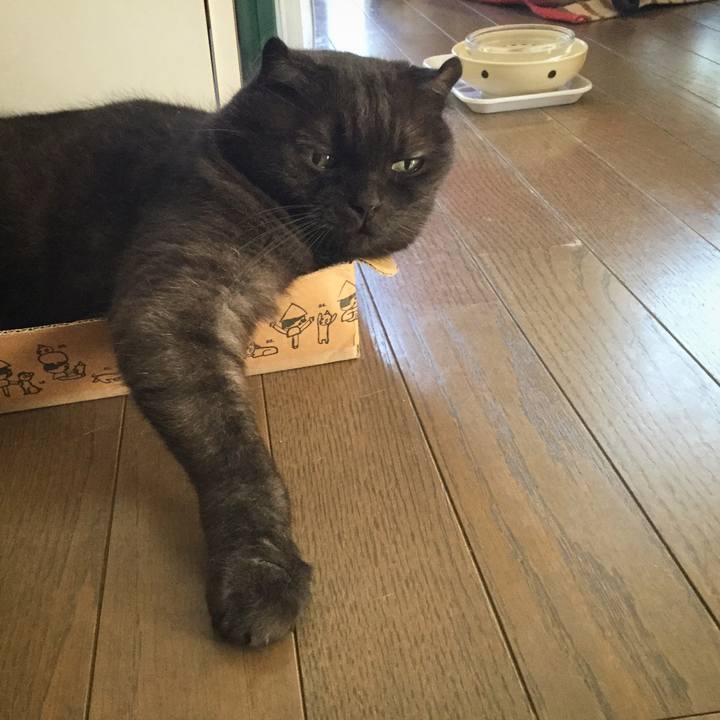 Fd1ef4d7 0312 4b61 97c9 6e9f1c1c3fd8