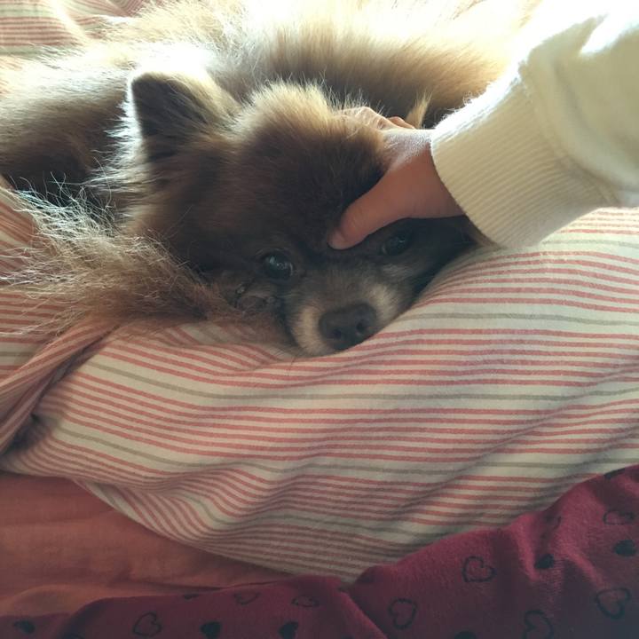 Fd1f07cb a221 441a b38a 5870e7030a40