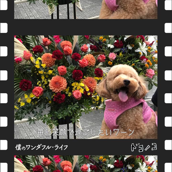 Fd1f9c1b 53dd 462f 961a 0bc2357772f5