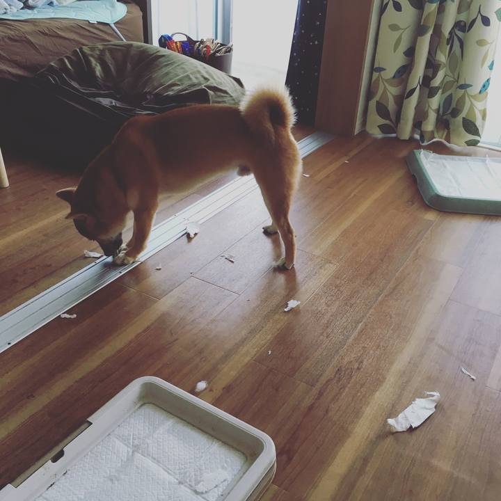 Fd1f9d45 41d2 492f b9e6 8deba2aa4797