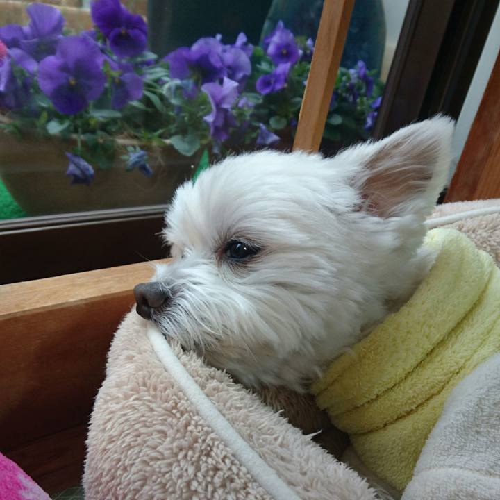 Fd1ff3e7 e765 4990 b93b 1609abb6b276