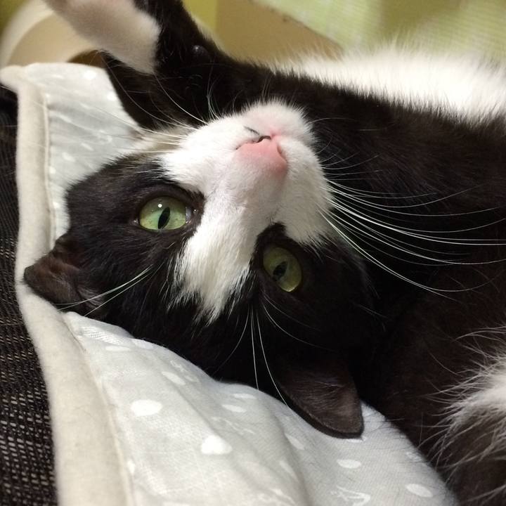 Fd202bb3 44f1 4f9c ab69 43b29f0a8592