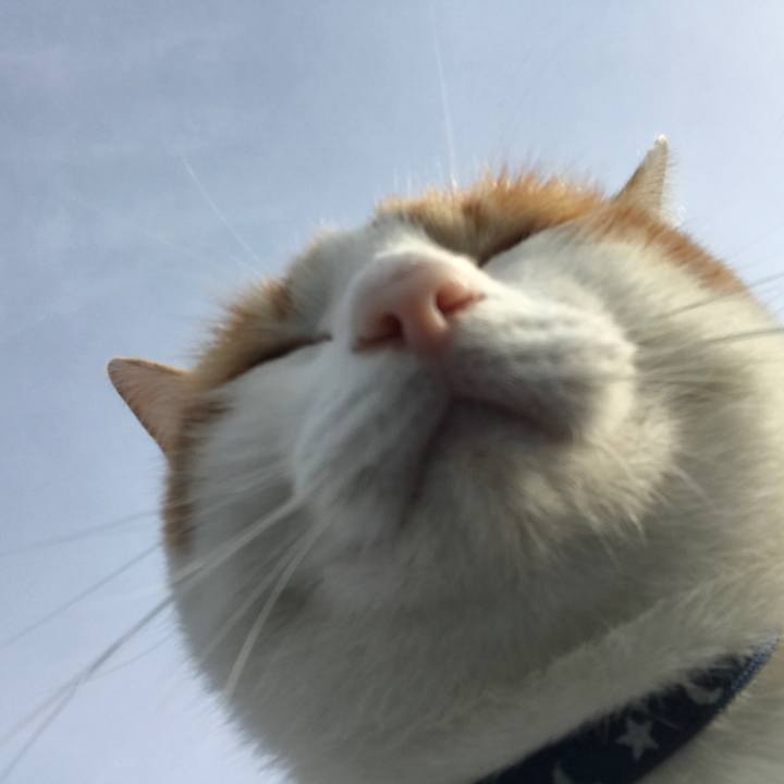 Fd207f91 627b 4490 93e7 61e971eefe58