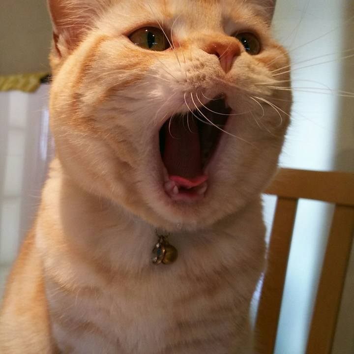 Fd20d608 09f0 4e3c 8378 dda334cb3a23