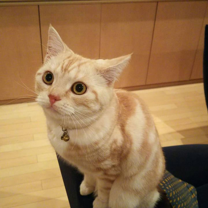 Fd222b47 4a3a 4e89 86c7 5c89c1cb0b11