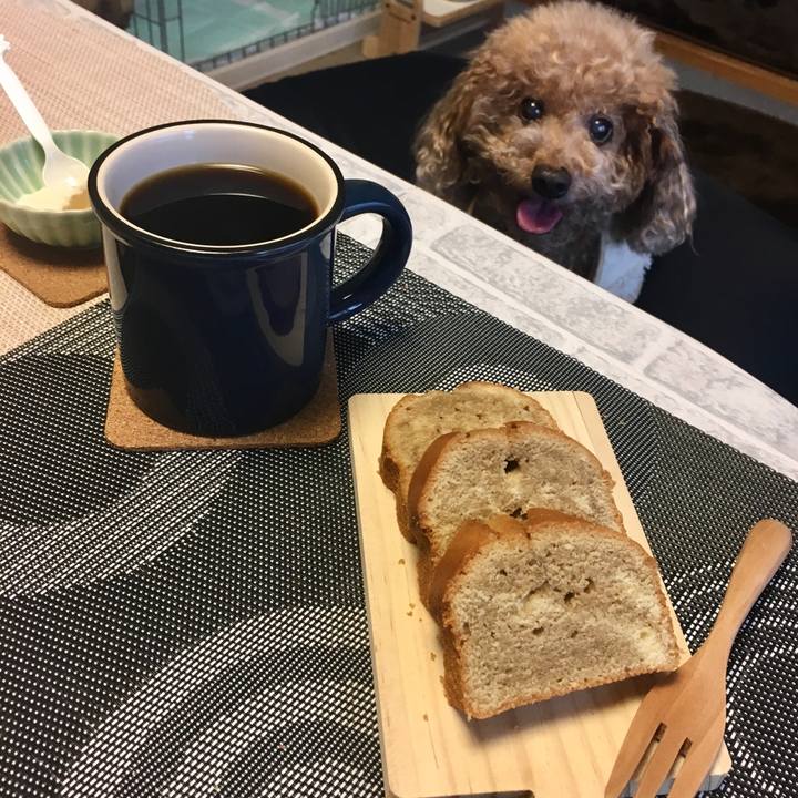 Fd23aef8 371e 42e3 99a4 22467e7c0633