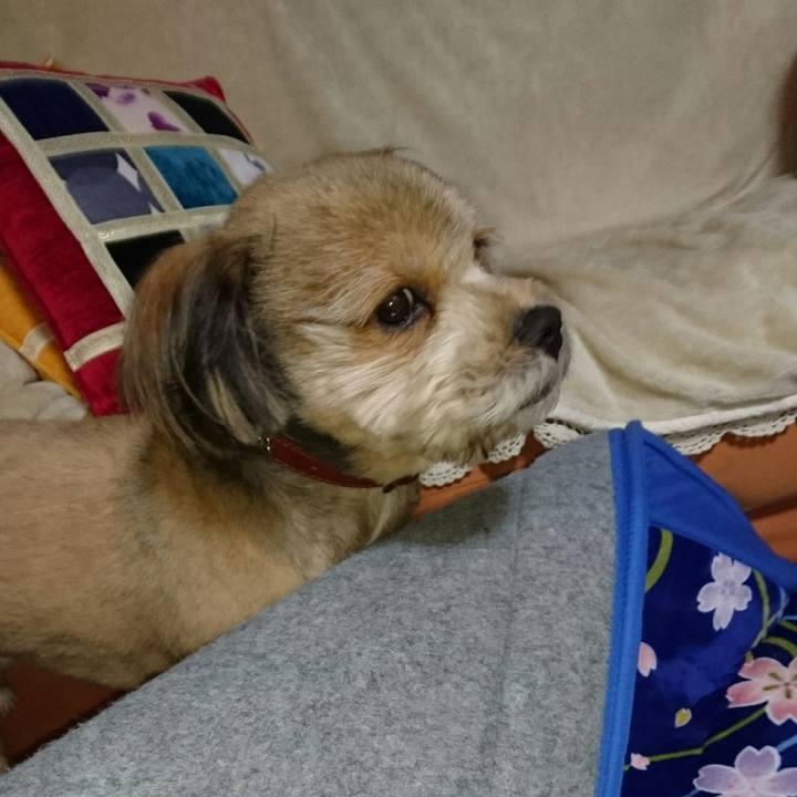 Fd23f399 619b 42a4 a38a 2ad1f091fab4