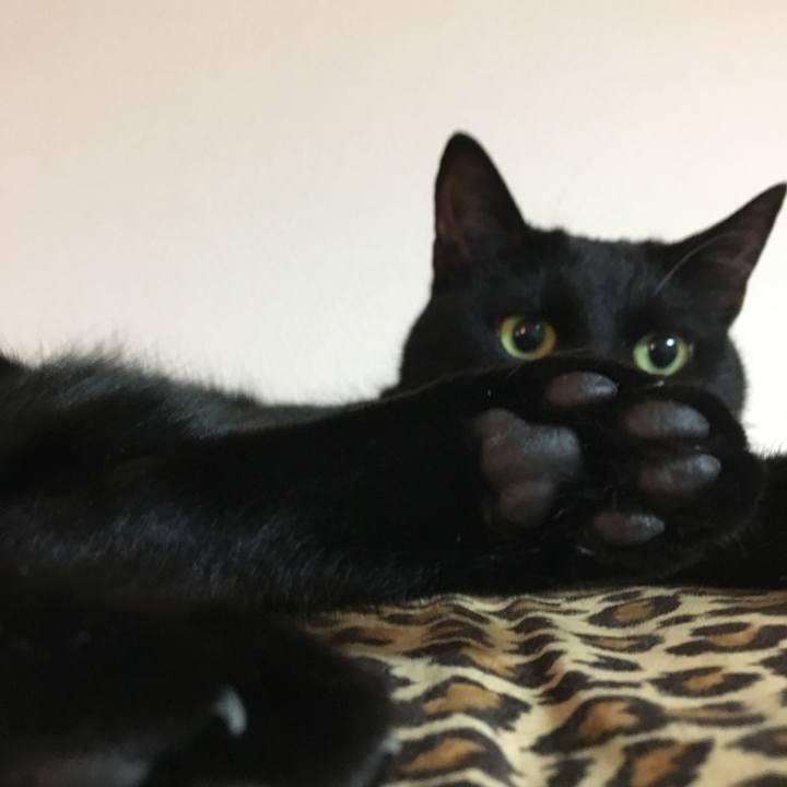 Fd243098 6978 4337 83a8 8eb507c088d3