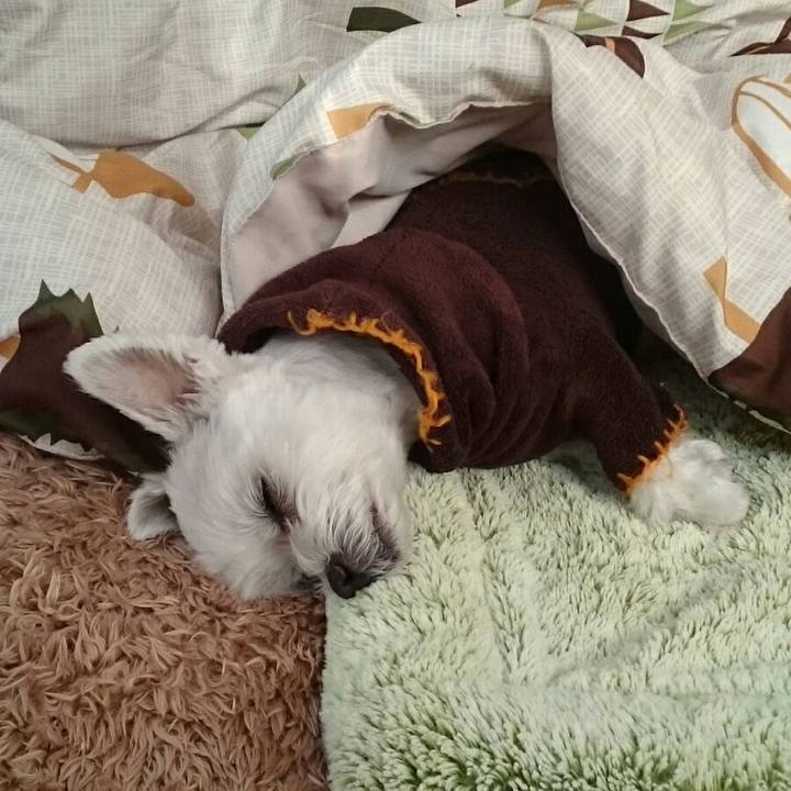 Fd2461f7 c1e7 4b2b a5b4 5fd77f33ae16