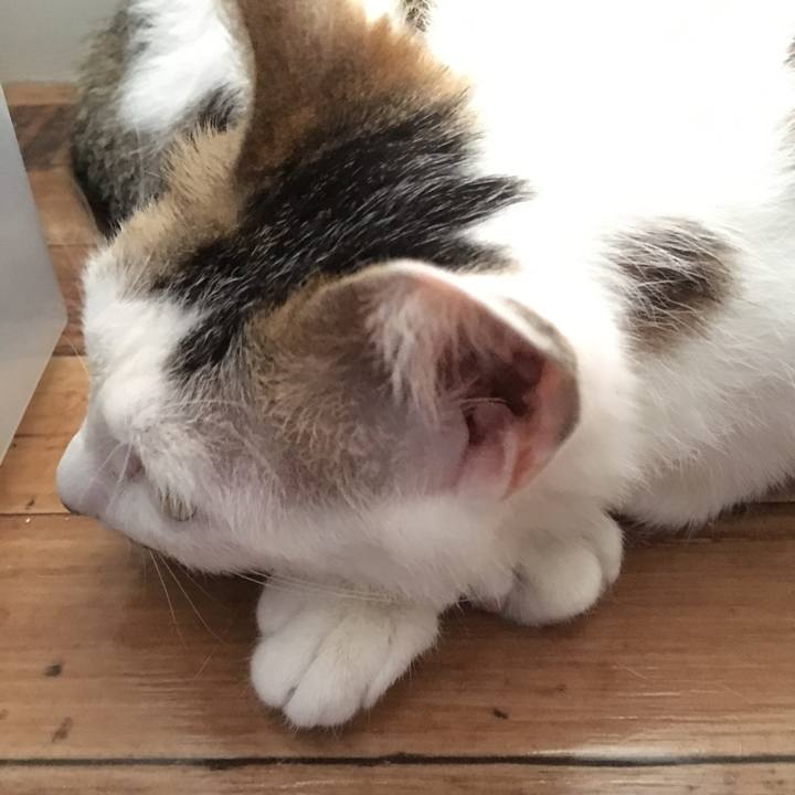 Fd246cb3 7ad2 42cf 9e38 422ad87a37fb