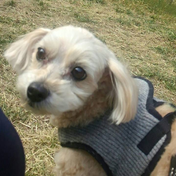 Fd2482b9 139b 4570 b1af 5bd4661f93c1