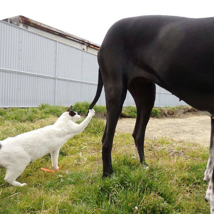 Fd24d91f f7eb 4f5a 855f 6da1f11d800c