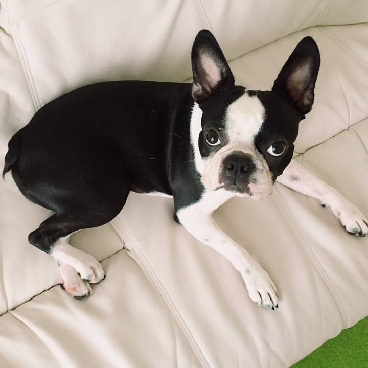 Fd250b9b 14b8 440f bde9 5f8329521cfd