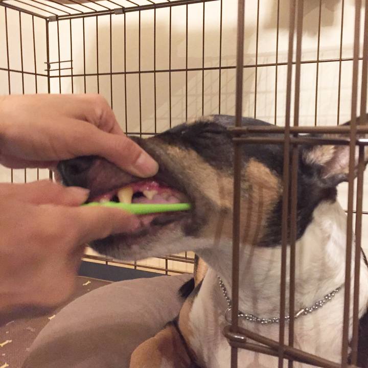 Fd256c71 88dc 45e5 b46d 0e6717cf3540