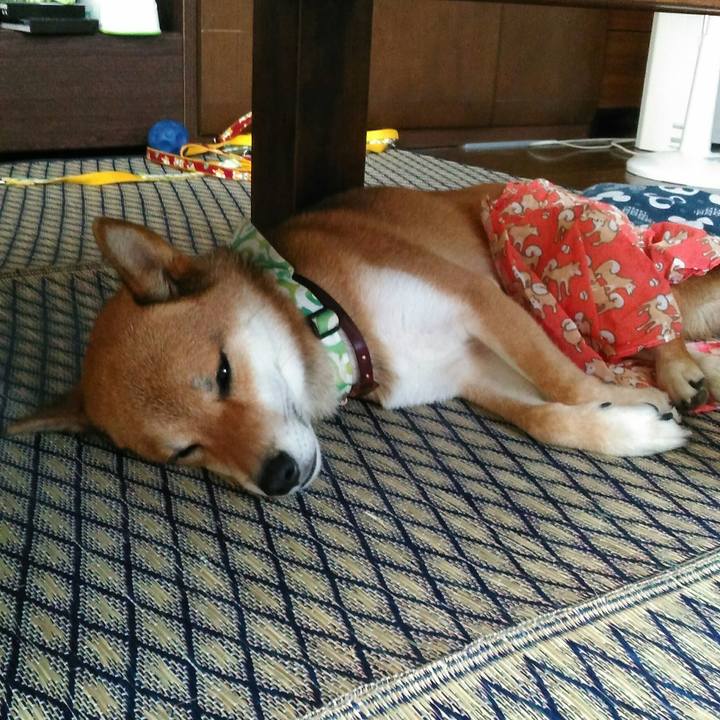 Fd25ac21 22cf 47f5 a7c3 c23fb1bec3e0