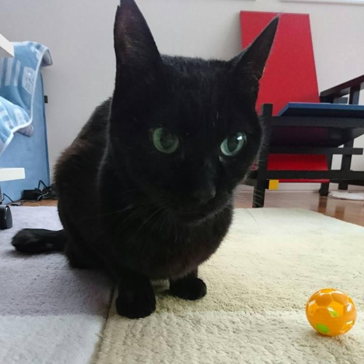 Fd25afd9 16bc 47f3 860d e951416b3314