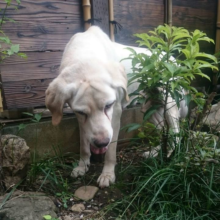 Fd25e00c d9f2 4260 9b1e 7e06455f26b3