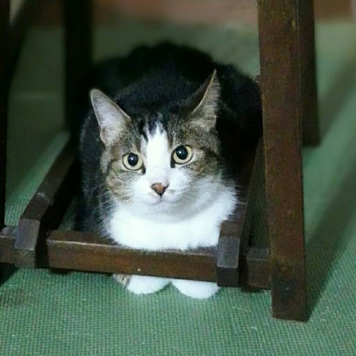 Fd25f4d2 0ac1 4237 bcec f5e309c6e2e4