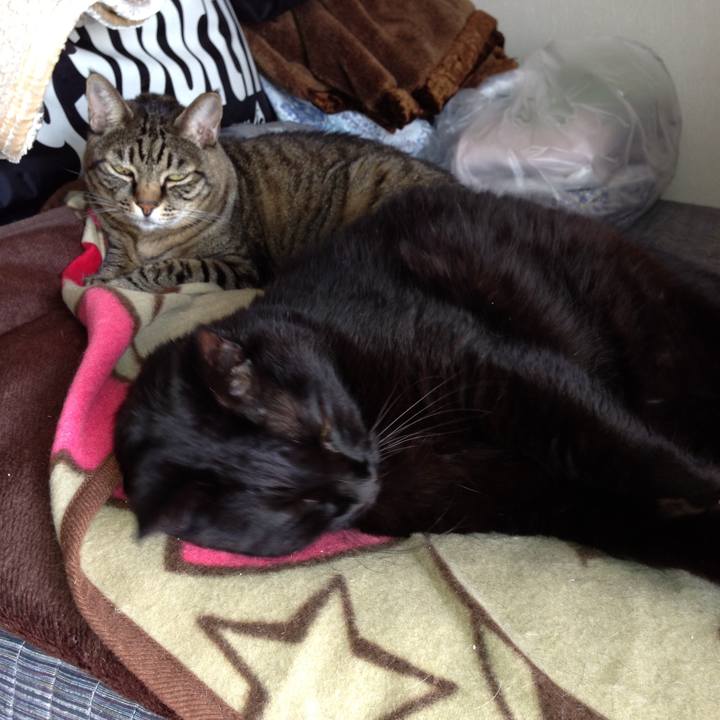 Fd2601bc a44f 4317 b776 35216f6555c1