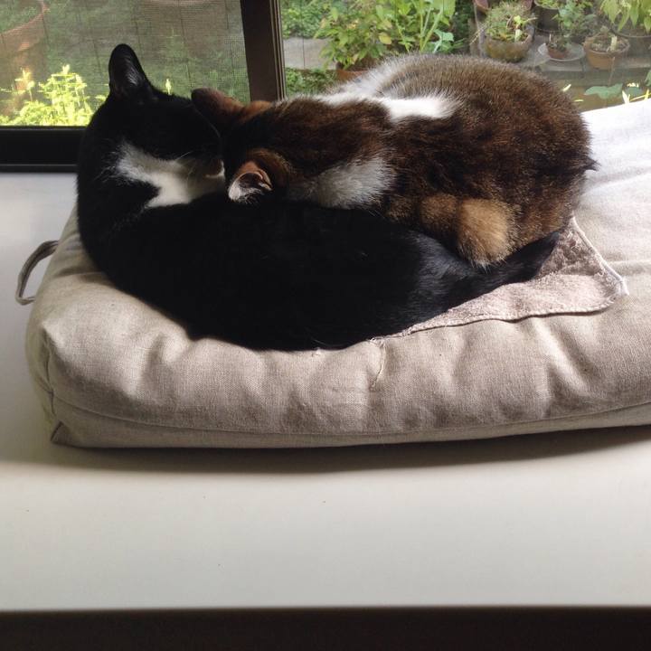 Fd277416 fa58 4f48 8531 05ba8b531a27