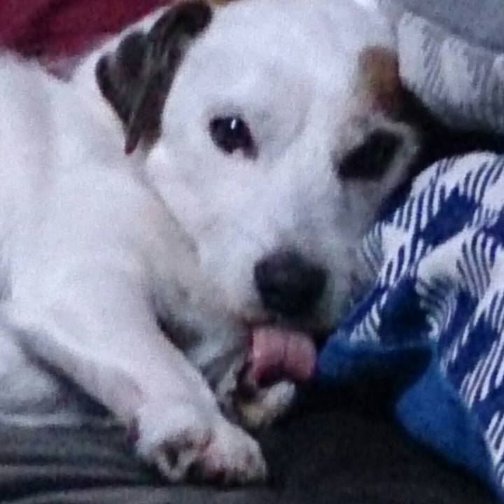 Fd285848 19b4 4f45 871d 782aa4382eb2