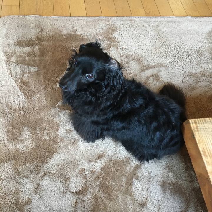 Fd28d277 a1a4 4d41 a580 c53c3c66ee26