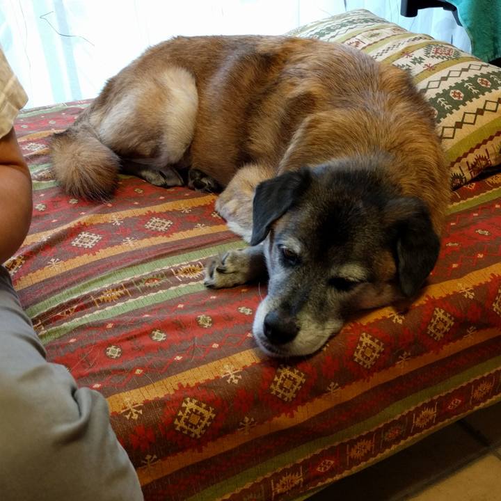 Fd296e00 d38c 4d5a 9b99 489d686efd62