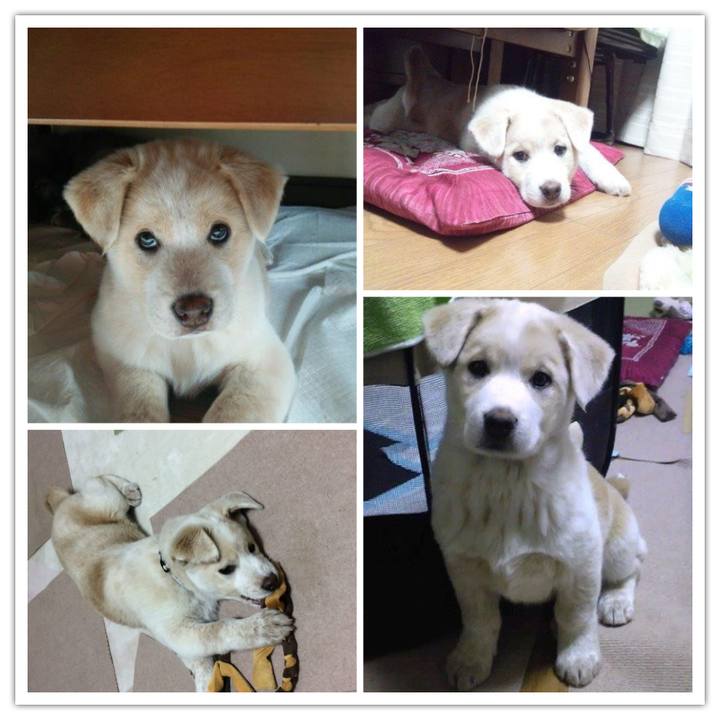 Fd29781e 466f 4754 9279 650a224d42f1