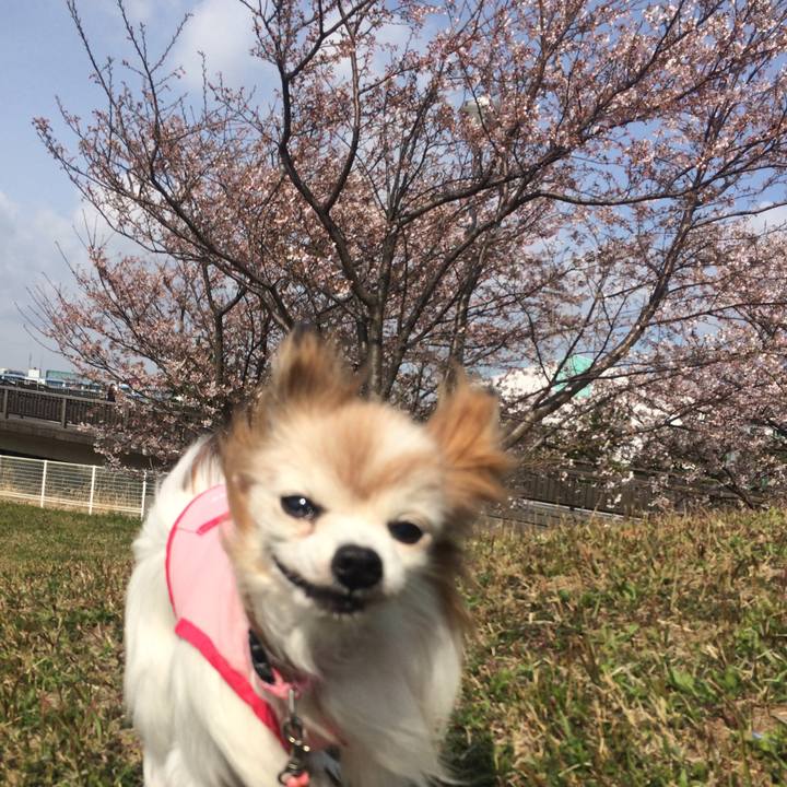 Fd29795a 39a3 47c7 809a d41a2e691709