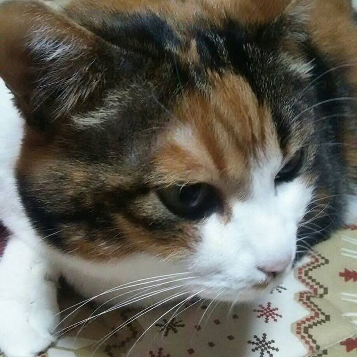 Fd2ad92c 045d 45ed 8e5f a27f46a74303