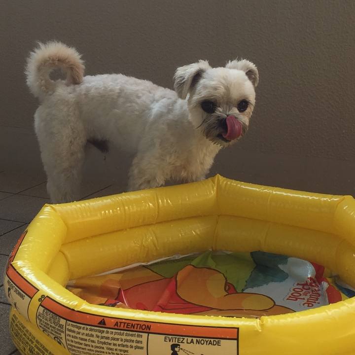 Fd2b0d73 630d 4a2f bd0b 51ab92b2e39f