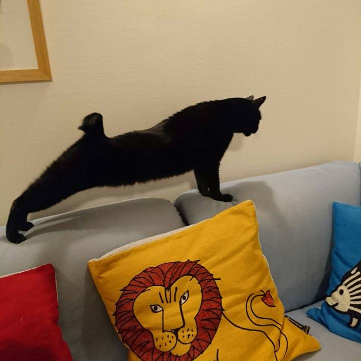 Fd2b1eb3 0d6e 4838 bf08 baed210185c8