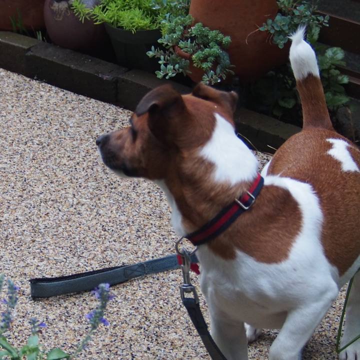 Fd2b27ae a38e 45af 9dba 4b52b7815876