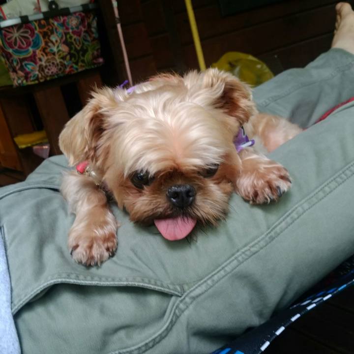 Fd2b8745 50bd 49dc aa0e 2d1d9eadbcc3