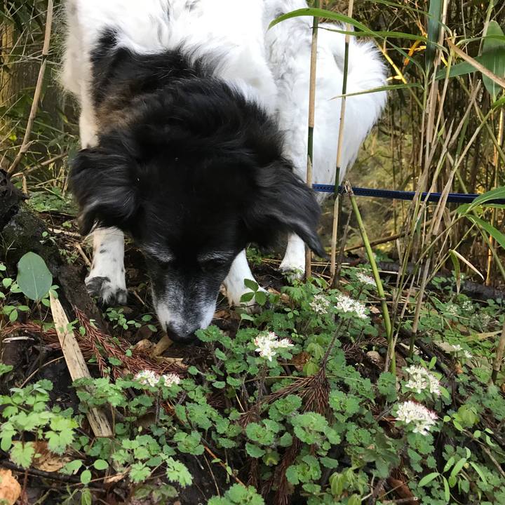 Fd2b907f 0df8 458b 863e 3a41a4c1abc4