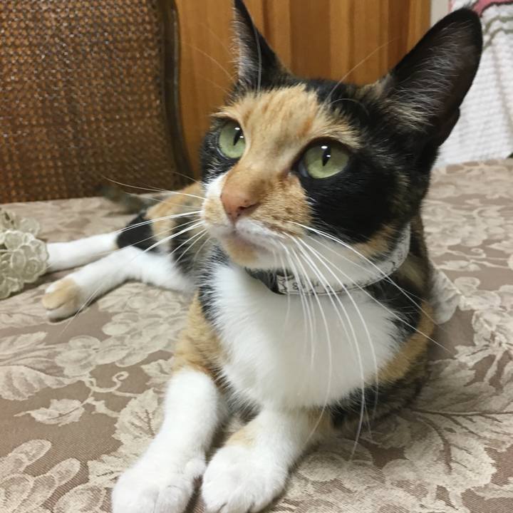 Fd2bf2e3 6bdd 4548 bdde afe7bea56719