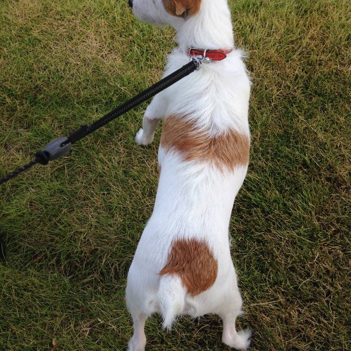 Fd2c3f22 b167 4447 b4a3 a113143a7b82