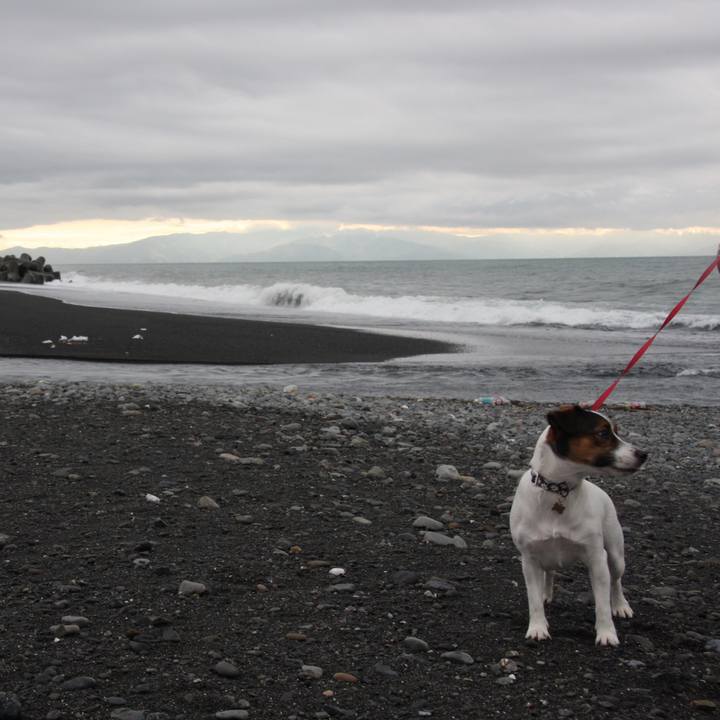 Fd2c77be a293 4e5e 9a05 5714b7706715